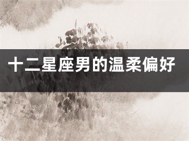 十二星座男的温柔偏好