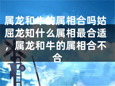 属龙和牛的属相合吗姑屈龙知什么属相最合适，属龙和牛的属相合不合