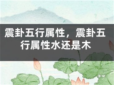 震卦五行属性，震卦五行属性水还是木