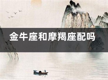 金牛座和摩羯座配吗