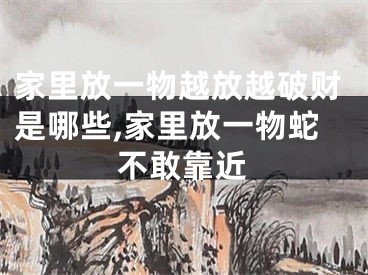 家里放一物越放越破财是哪些,家里放一物蛇不敢靠近