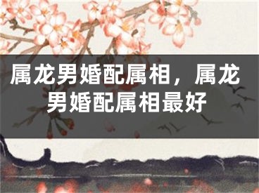 属龙男婚配属相,属龙男婚配属相最好
