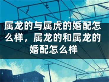 属龙的与属虎的婚配怎么样，属龙的和属龙的婚配怎么样