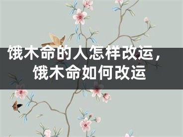 饿木命的人怎样改运，饿木命如何改运