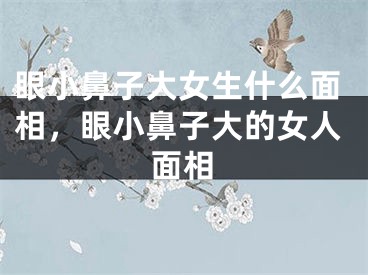 眼小鼻子大女生什么面相，眼小鼻子大的女人面相