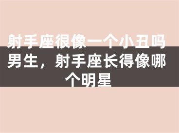 射手座很像一个小丑吗男生，射手座长得像哪个明星