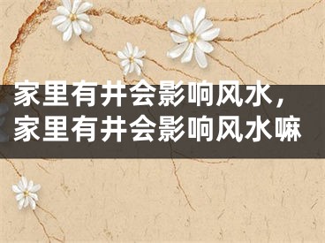 家里有井会影响风水，家里有井会影响风水嘛