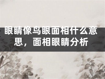 眼睛像鸟眼面相什么意思，面相眼睛分析