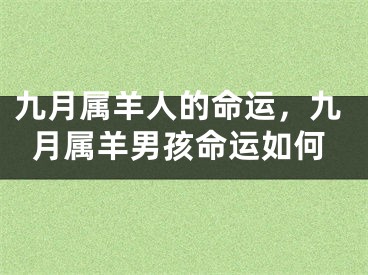 九月属羊人的命运，九月属羊男孩命运如何