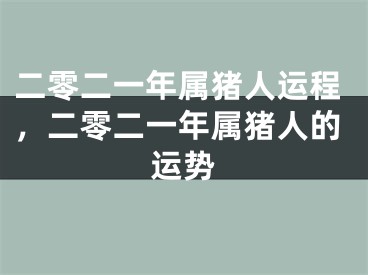 二零二一年属猪人运程，二零二一年属猪人的运势