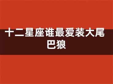 十二星座谁最爱装大尾巴狼