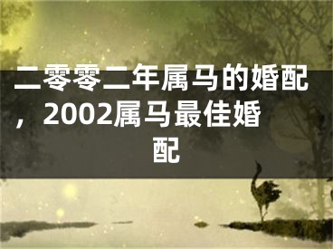 二零零二年属马的婚配，2002属马最佳婚配