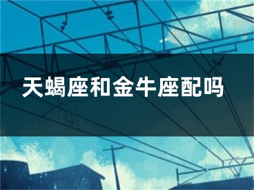 天蝎座和金牛座配吗