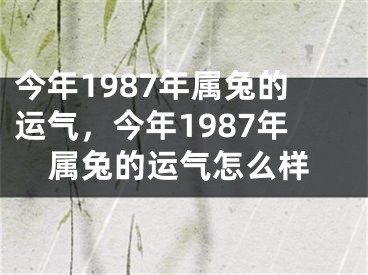 今年1987年属兔的运气，今年1987年属兔的运气怎么样