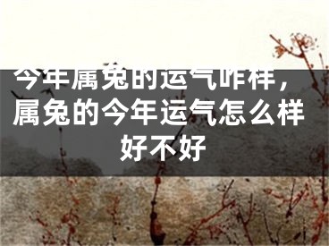 今年属兔的运气咋样，属兔的今年运气怎么样好不好