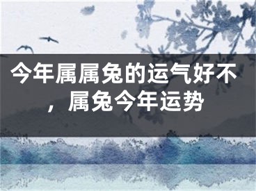 今年属属兔的运气好不，属兔今年运势