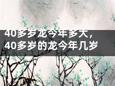 40多岁龙今年多大，40多岁的龙今年几岁