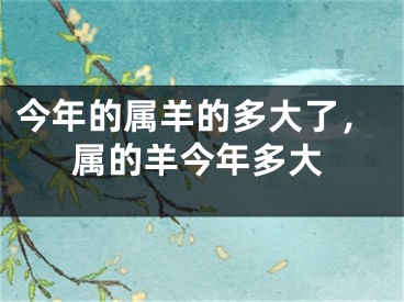 今年的属羊的多大了，属的羊今年多大