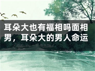 耳朵大也有福相吗面相男，耳朵大的男人命运