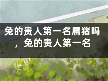 兔的贵人第一名属猪吗,兔的贵人第一名