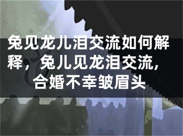 兔见龙儿泪交流如何解释，兔儿见龙泪交流,合婚不幸皱眉头