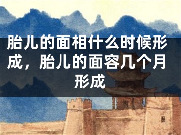 胎儿的面相什么时候形成，胎儿的面容几个月形成