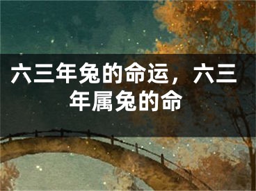 六三年兔的命运，六三年属兔的命