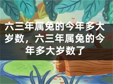 六三年属兔的今年多大岁数，六三年属兔的今年多大岁数了