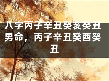 八字丙子辛丑癸亥癸丑男命,丙子辛丑癸酉癸丑