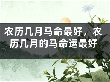 农历几月马命最好，农历几月的马命运最好