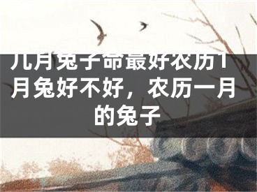 几月兔子命最好农历1月兔好不好，农历一月的兔子