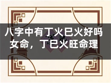 八字中有丁火巳火好吗女命，丁巳火旺命理