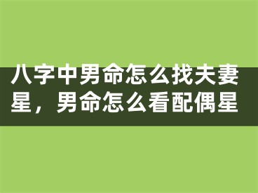 八字中男命怎么找夫妻星，男命怎么看配偶星