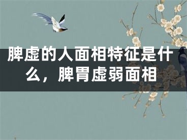 脾虚的人面相特征是什么，脾胃虚弱面相