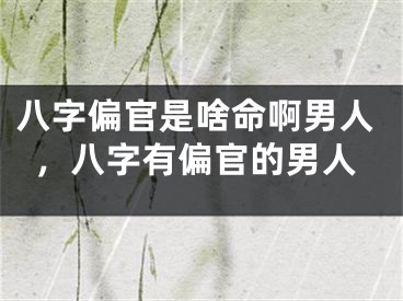 八字偏官是啥命啊男人，八字有偏官的男人