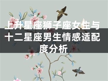 上升星座狮子座女生与十二星座男生情感适配度分析