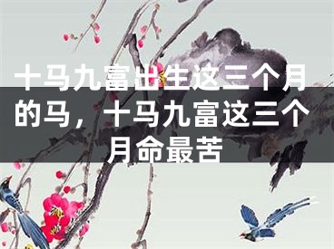 十马九富出生这三个月的马，十马九富这三个月命最苦